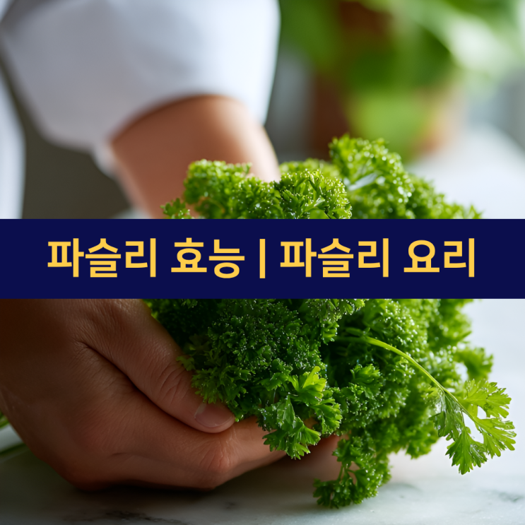  파슬리 효능 | 치미추리 소스 | 타불레 | 파슬리페스토파스타 | 파슬리 요리 효능