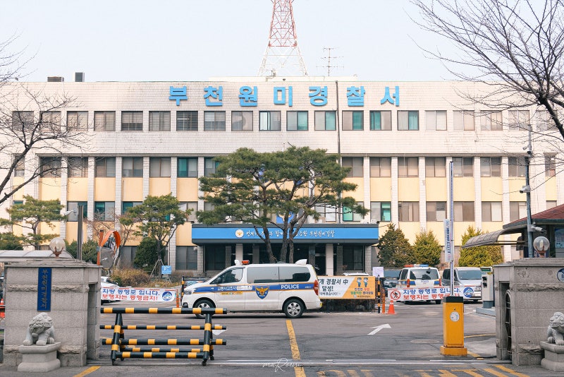 운전면허 갱신, 시력 부적격 판정 받고 직접 다녀온 경찰서 후기