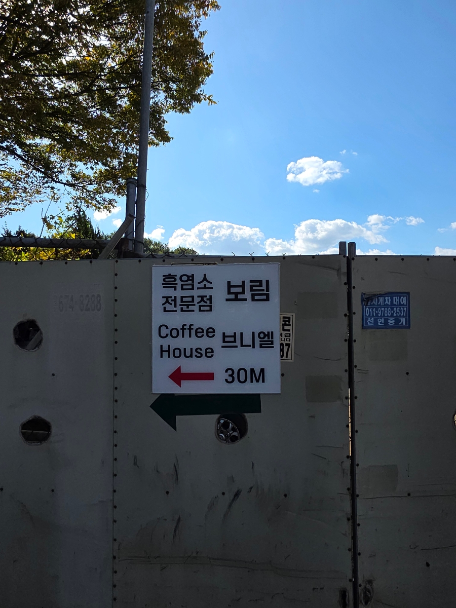 보림흑염소 사진 3