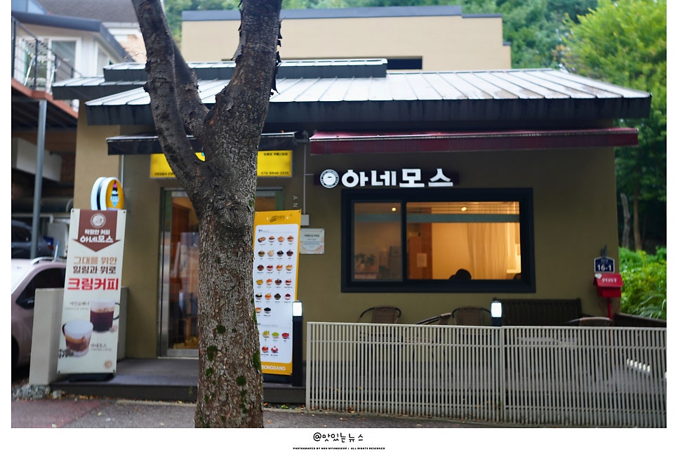 카페아네모스&빙동댕 사진 5
