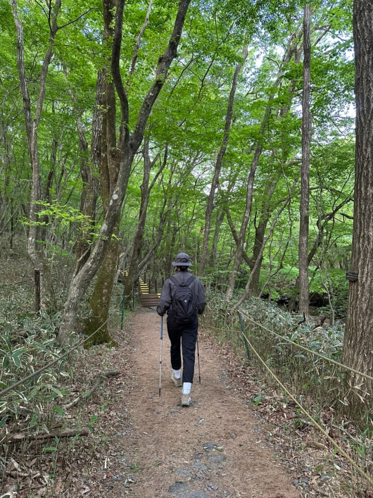  제주 여행이야기, 힘듦을 같이 경험한다는 건(한라산 등반, 숙성도 제주본점)