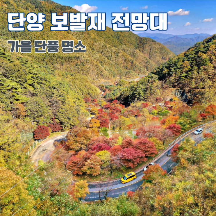  단양 보발재 전망대 단풍 현황 충북 여행지 가을 단풍 구경 명소 가볼만한 곳 추천