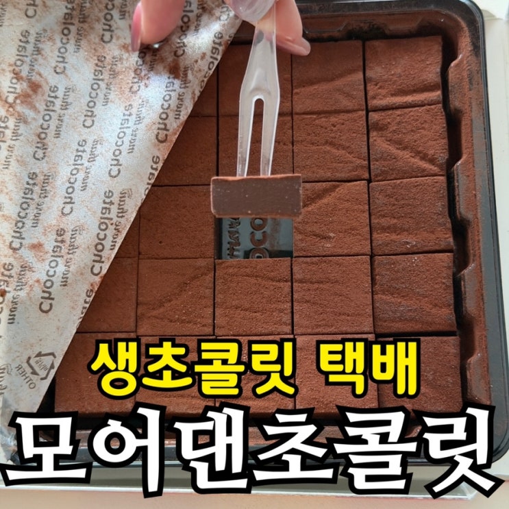  모어댄초콜릿 생초콜릿 크림슨펀치·다크플레인 솔직 후기 | 선물용 초콜릿 추천