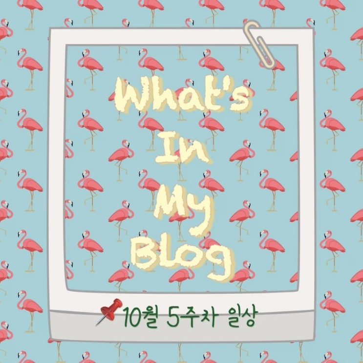  10월 5주 차 일상 정리 왓츠인마이블로그 블챌