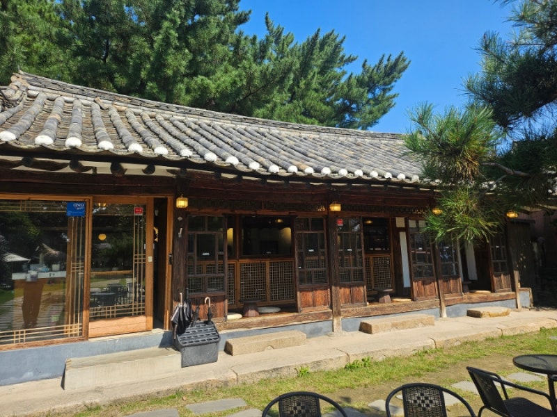 사진 5