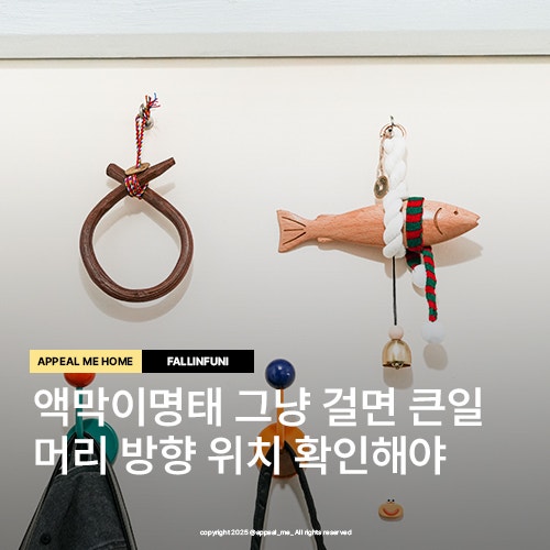 액막이명태 위치 방향 총정리 잘못걸면 더 날아가는 운 개업선물 유행템