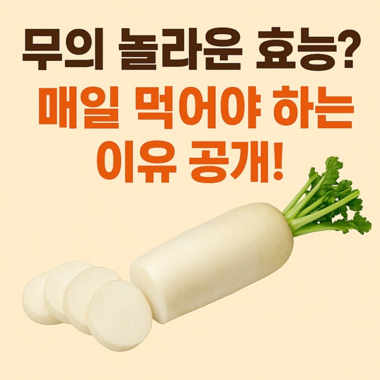  무 효능 총정리! 위 건강부터 다이어트까지, 매일 먹어야 할 이유