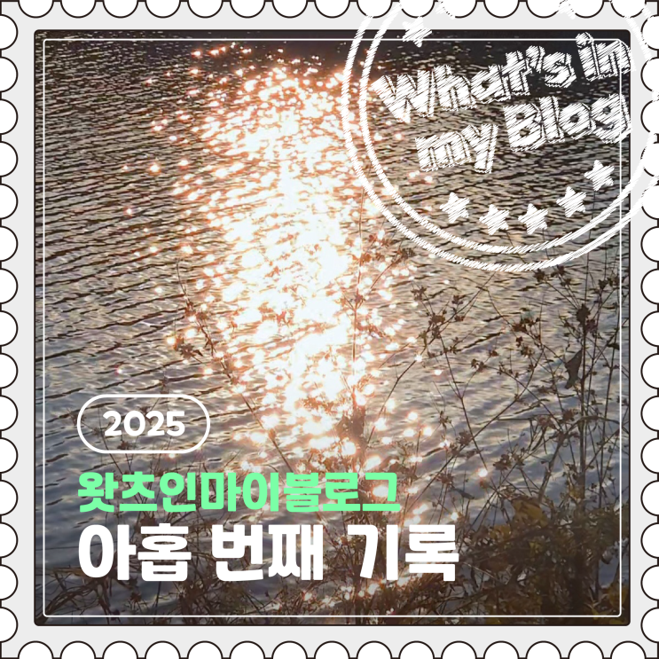  2025 블로그 챌린지, 왓츠인마이블로그 아홉 번째 기록