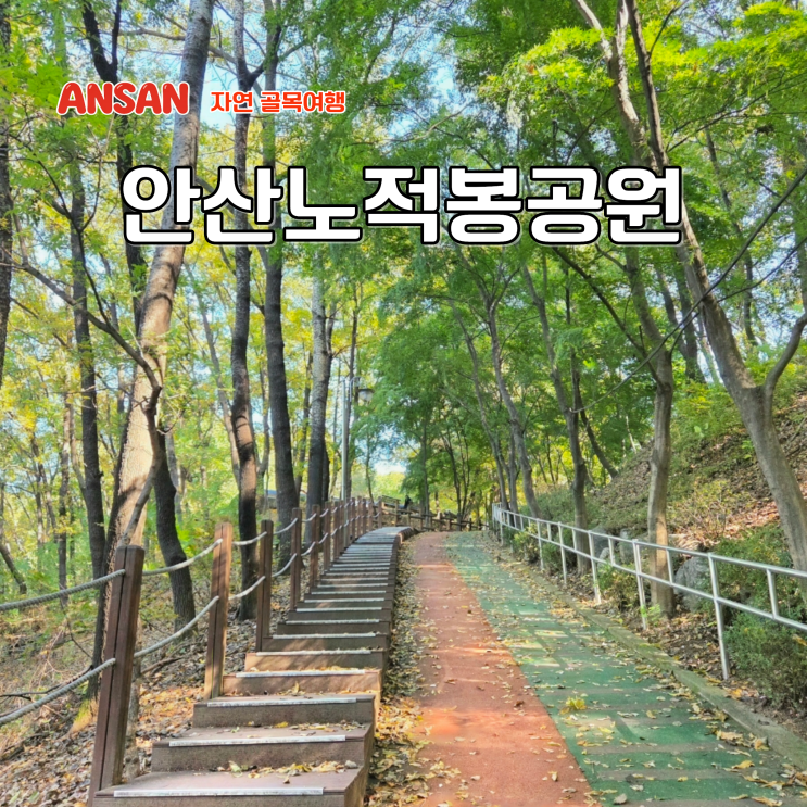 서울 근교 경기도 단풍 명소 안산노적봉공원 둘레길 산책 코스
