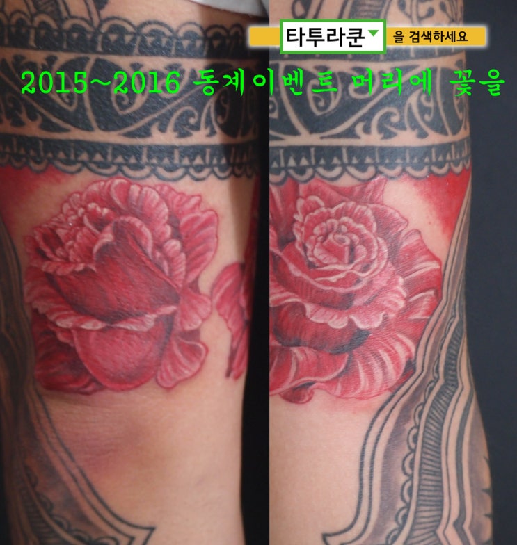  (타투라쿤 붉은 장미 타투  리얼한 장미 문신 디자인, 팔 타투 추천-[지난 타투할인 이벤트 인증글 옮김]