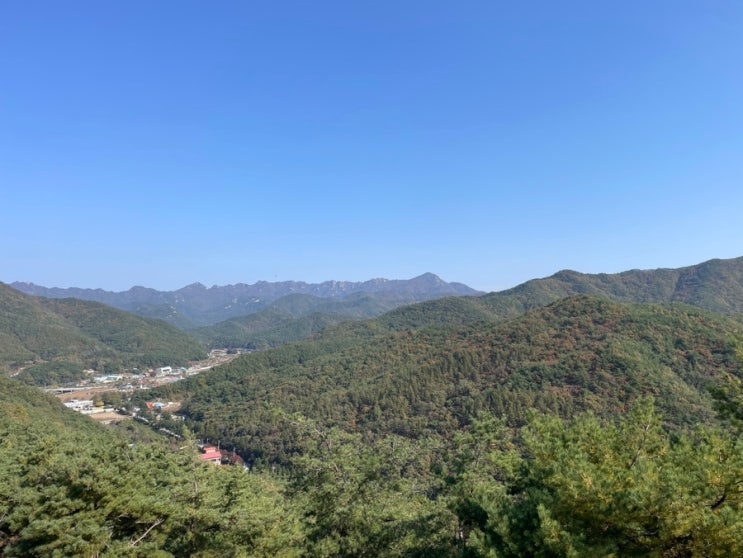  등산 없이 단풍 구경 충북 보은 속리산 테마파크 모노레일 타는 법 요금 시간 목탁봉 카페 후기