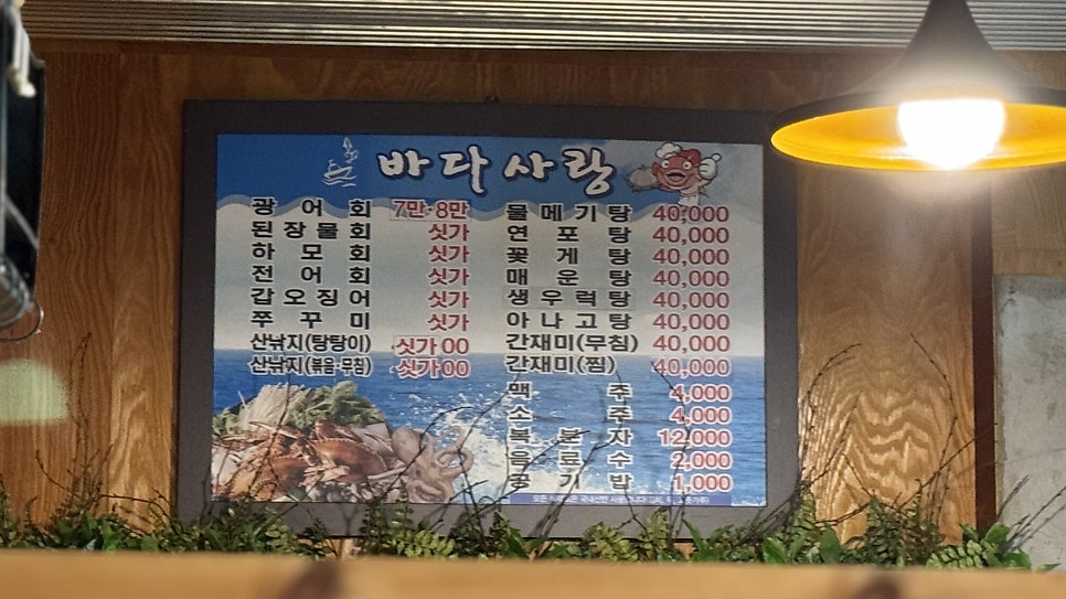 바다사랑 사진 2