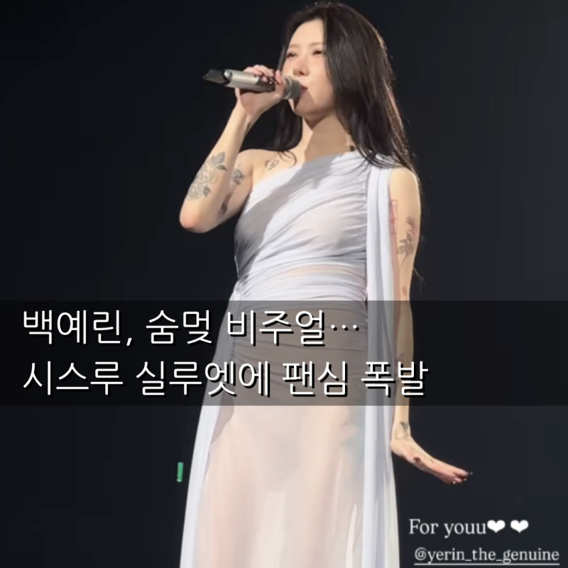 백예린 콘서트 화제된 시스루 원피스 의상
