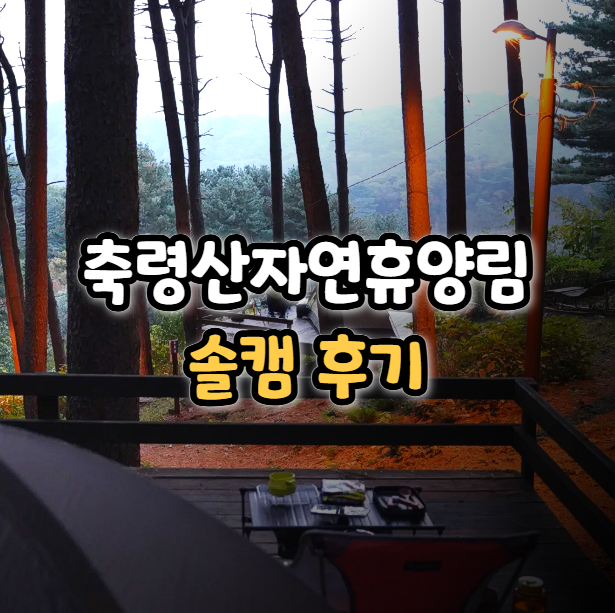  축령산자연휴양림 야영장 솔캠 후기! 가을 단풍 캠핑