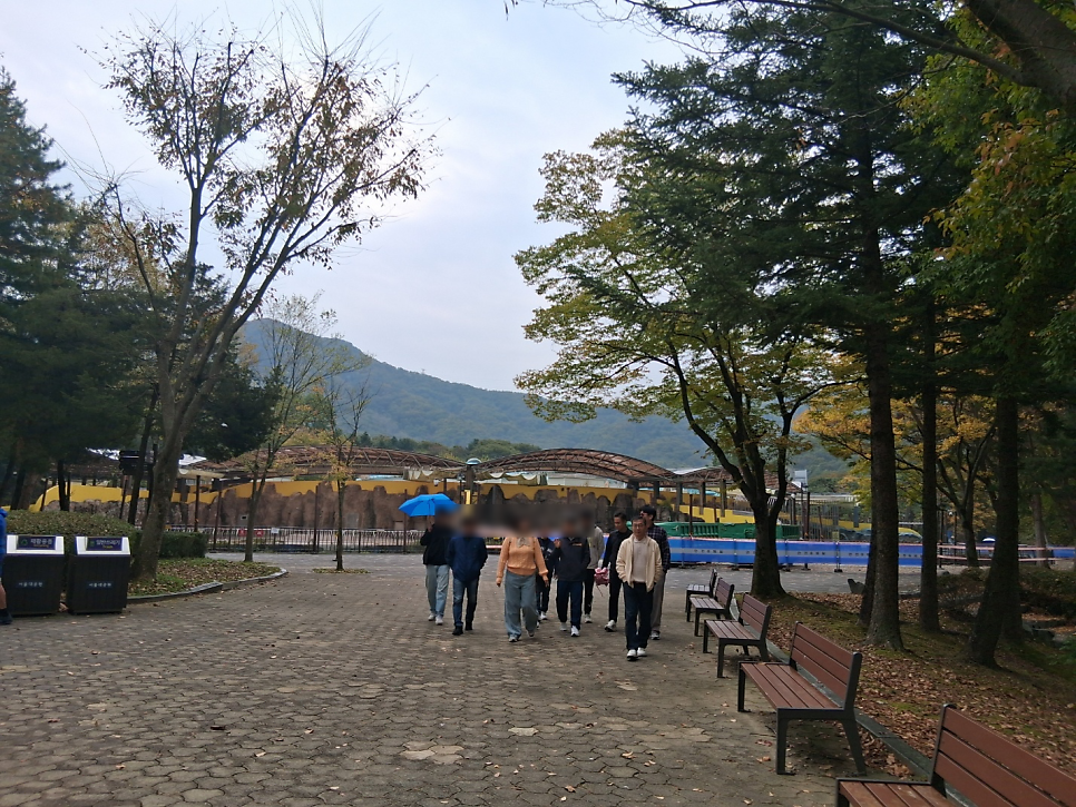 푸짐한김치감자탕 사진 3