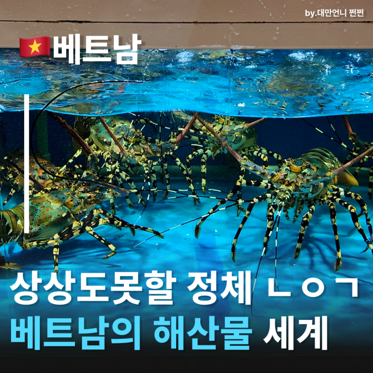  한국인은 모르는 베트남해산물 종류?! 베트남해산물보고 문화충격 받다?