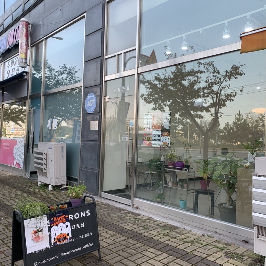 뮤직카롱 사진 1