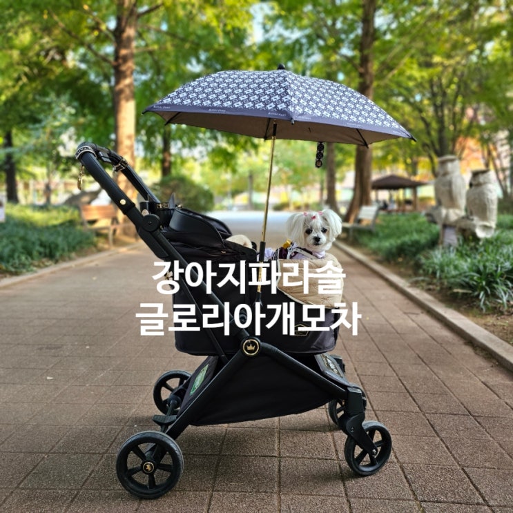  로얄테일즈 신상 강아지 유모차 파라솔, 고급스러움의 정점!
