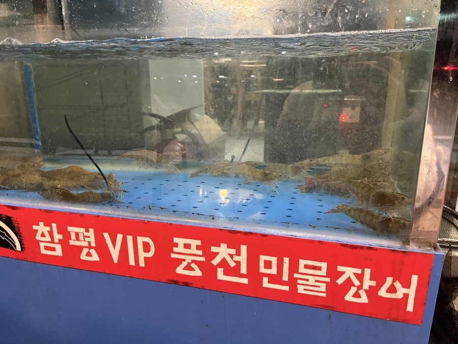 함평VIP풍천민물장어 용인본점 사진 3