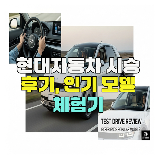  현대자동차 시승 후기, 인기 모델 체험기