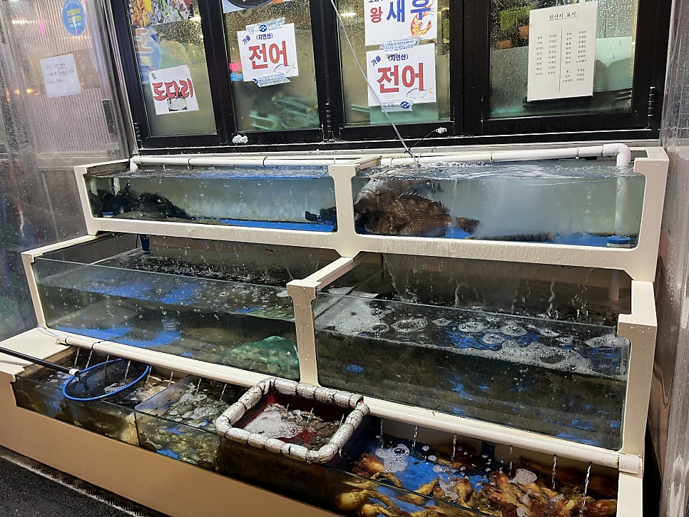 완도횟집 사진 3