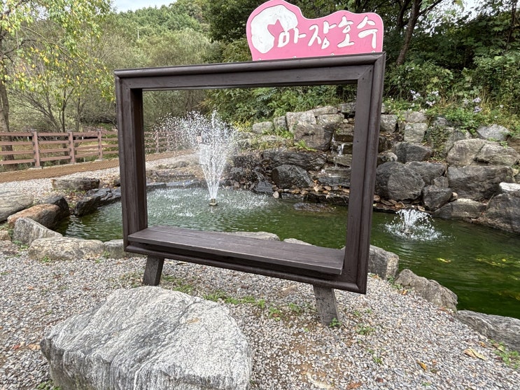  파주 '마장호수, 출렁다리'