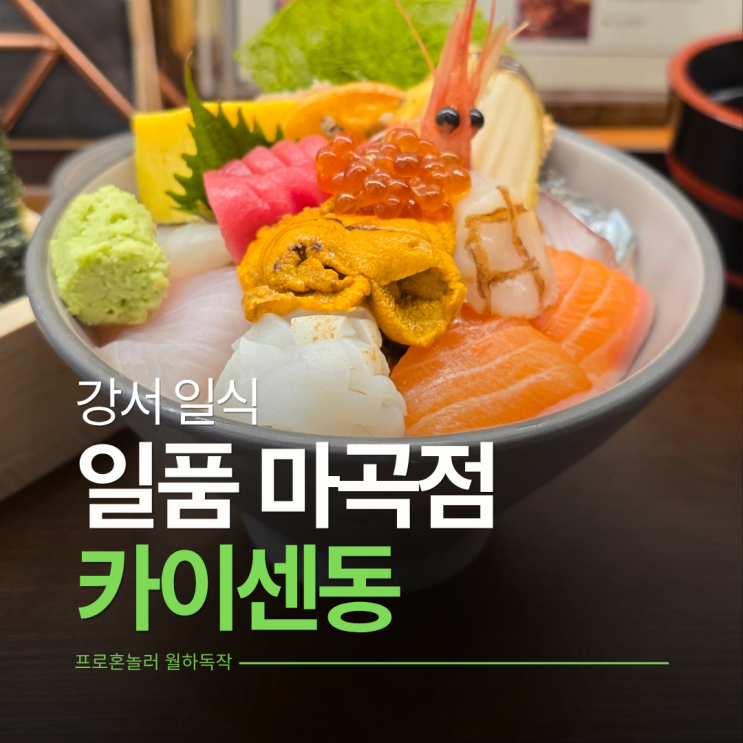  일품 마곡점 카이센동 이영자가 추천한 발산 맛집 초밥