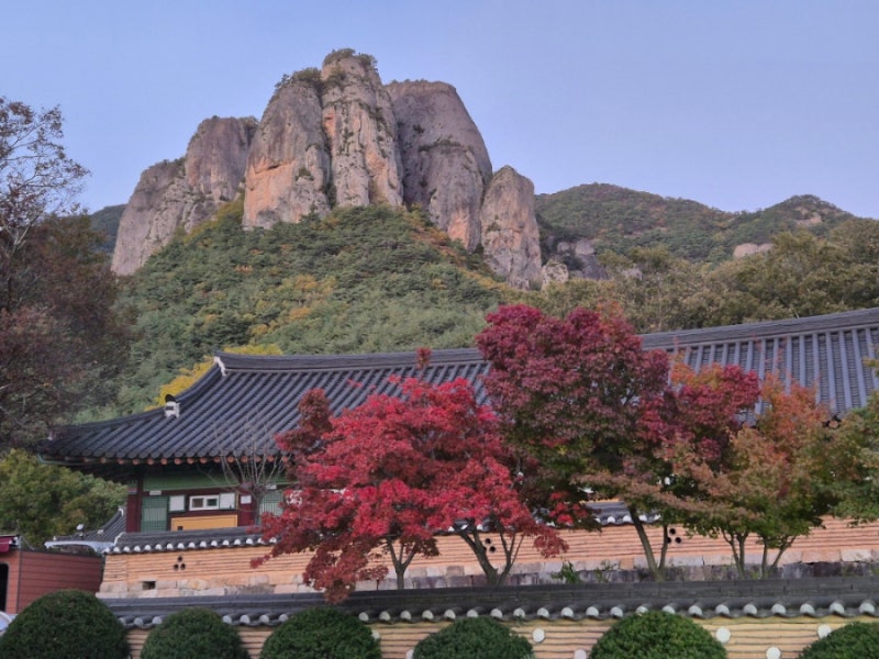 주왕산 상의야영장 B5