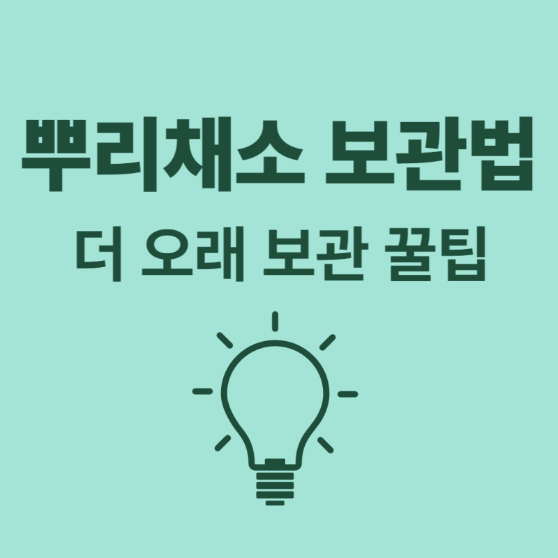 냉장고보다 오래! 뿌리채소 신선도 지키는 법
