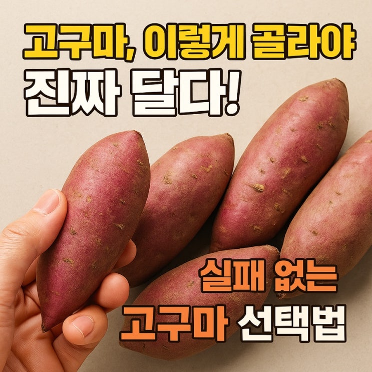   달콤한 고구마는 따로 있다! 맛있는 고구마 고르는 법 6가지 꿀팁