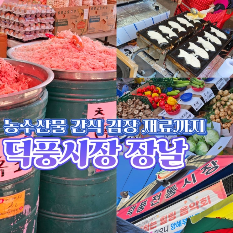  덕풍시장 장날 풍경부터 먹거리까지! 하남 가볼 만한 곳 전통시장 구경
