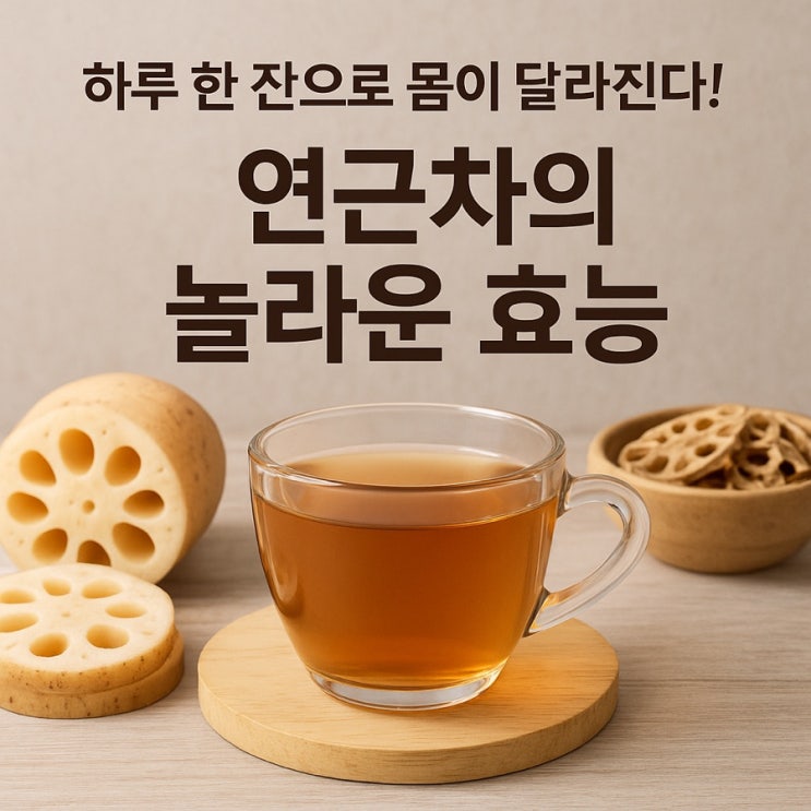   한 잔으로 혈액부터 피부까지! 연근차 효능 완벽 정리