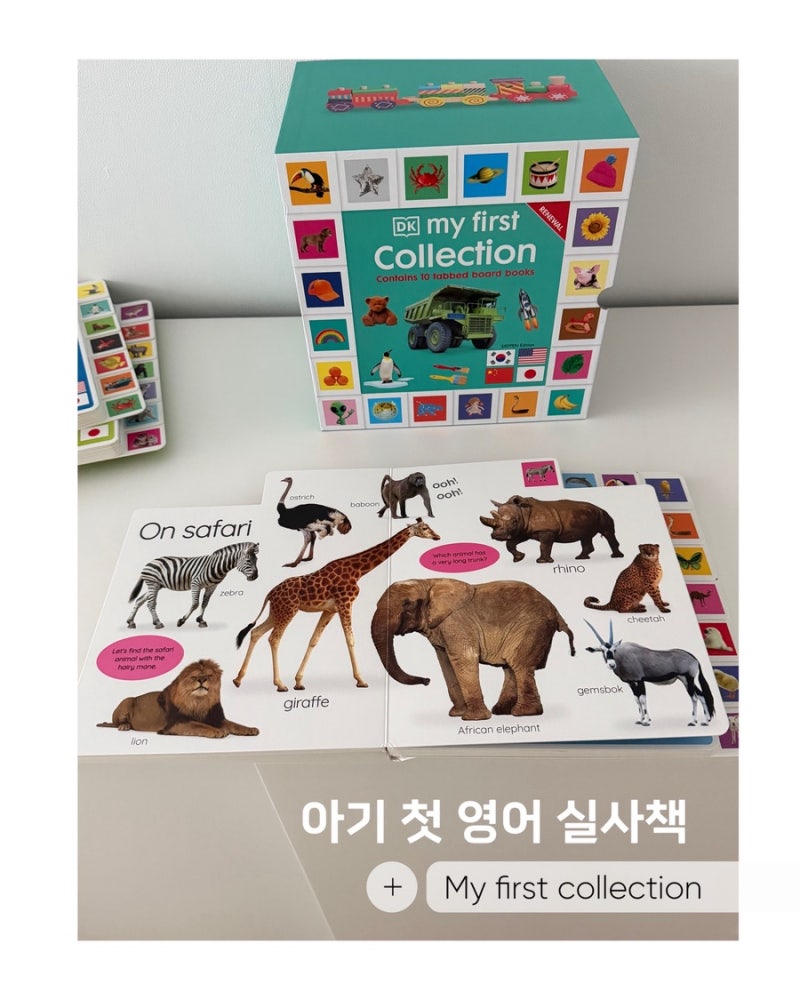공구오픈] 아기 영어책 DK 마이퍼스트컬렉션 공구 ​My First