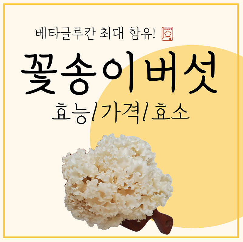꽃송이버섯 효능 가격 효소 장점 고를때 주의점
