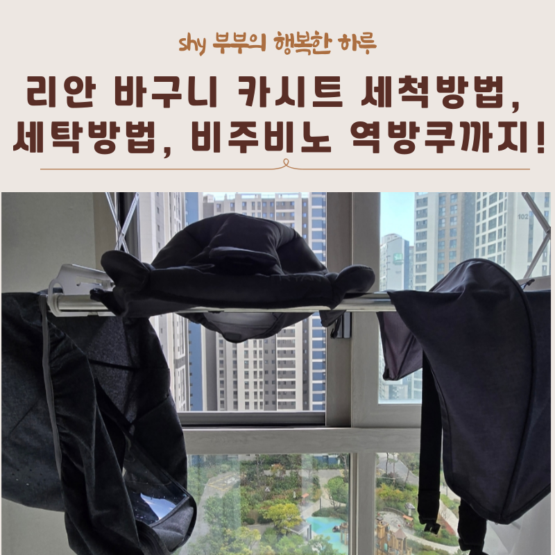 리안 바구니 카시트 세척방법, 세탁방법, 비주비노 역방쿠까지!