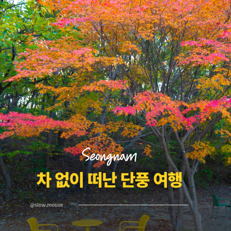  단풍 명소는 멀리 있다구요? 차없이 떠난 서울 근교 단풍 구경
