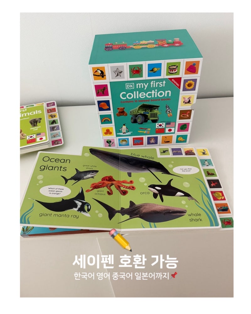 공구오픈] 아기 영어책 DK 마이퍼스트컬렉션 공구 ​My First