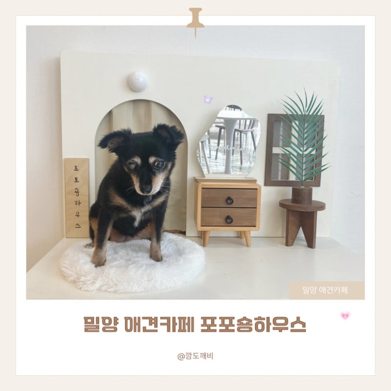 사진 2