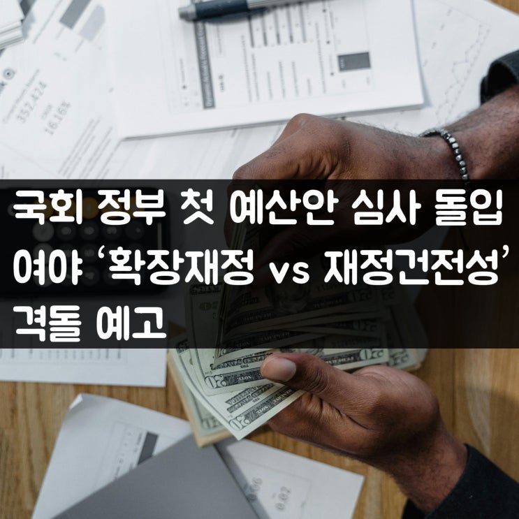 국회 <b>정부</b> 첫 <b>예산안</b> 심사 돌입 여야 ‘확장재정 vs... 