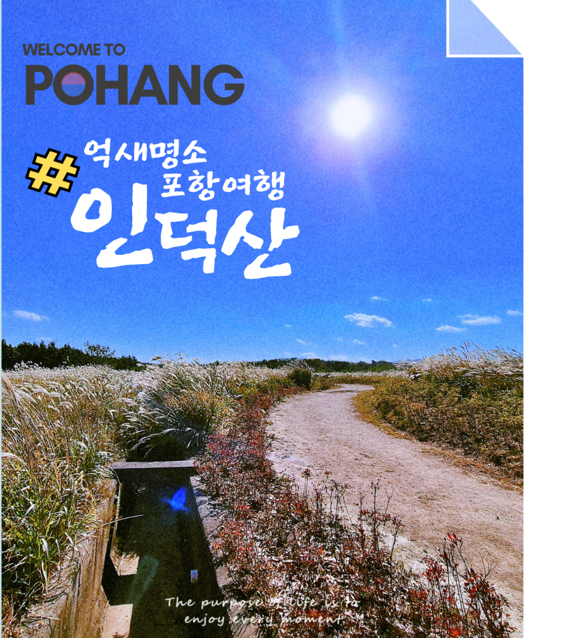 포항 억새 명소, 인덕산 자연마당