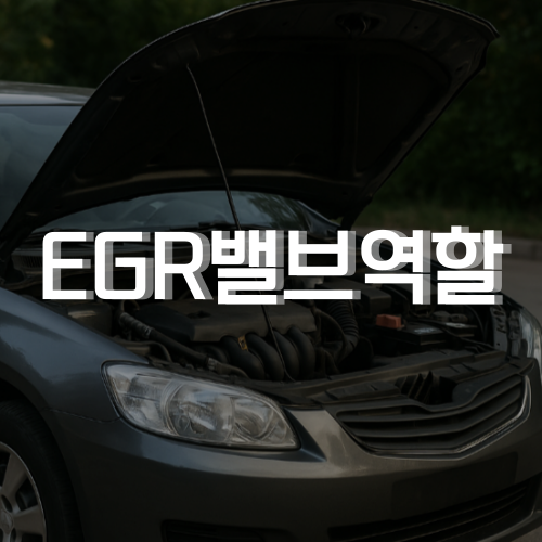 EGR밸브 역할, 전직 정비사가 확실히 정리해드릴게요