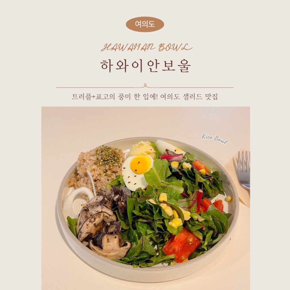 하와이안보울 사진 1