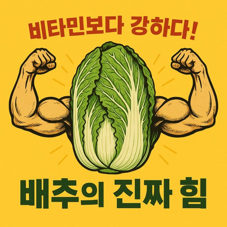   배추의 놀라운 효능! 매일 먹어야 하는 이유