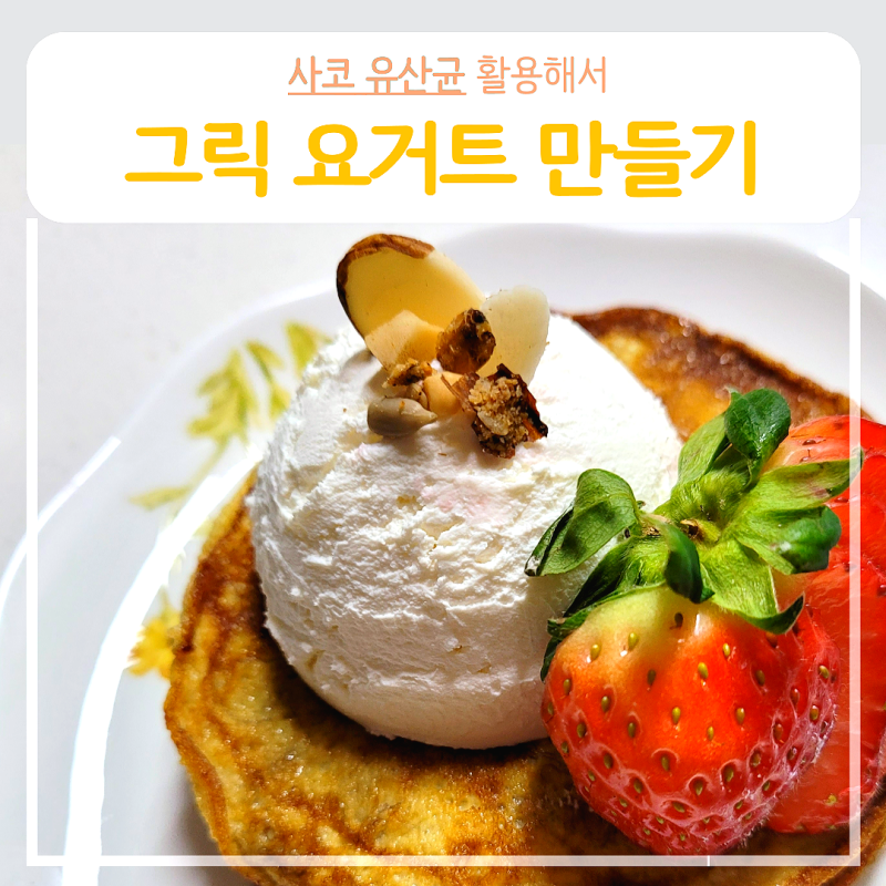사코 유산균 활용해서 그릭 요거트 만들기 (대용량)