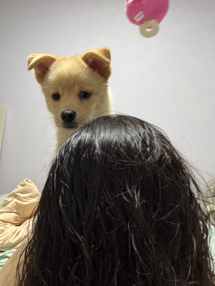 사진 1