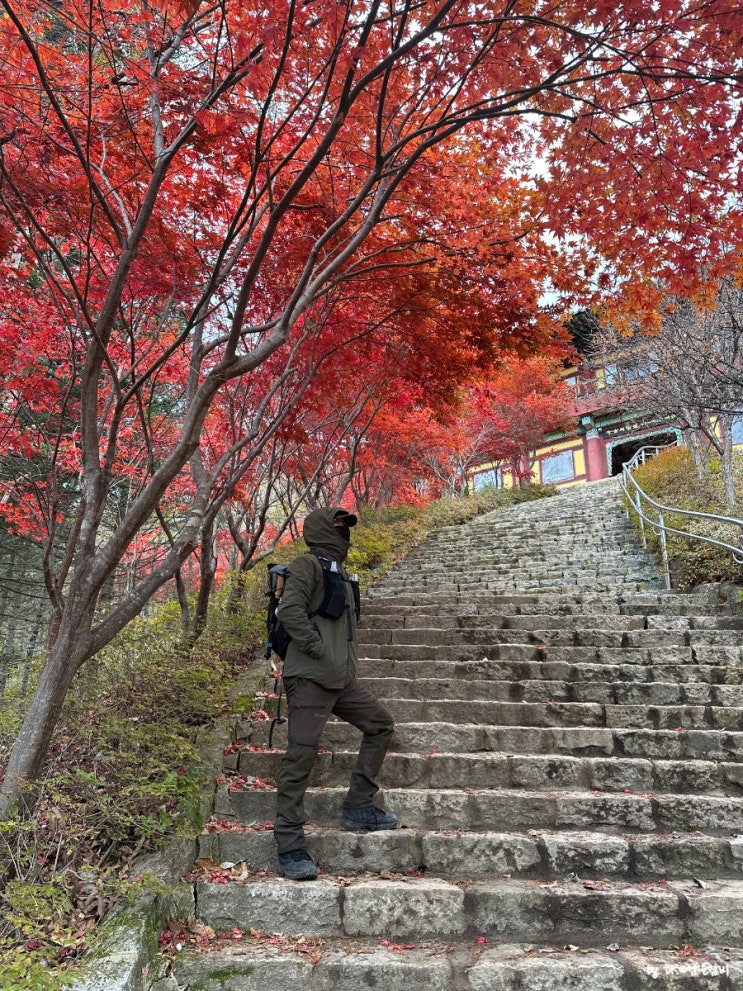  가을 단풍시기가 지난 오대산 비로봉 상왕봉 등산코스 완주 솔직 리뷰