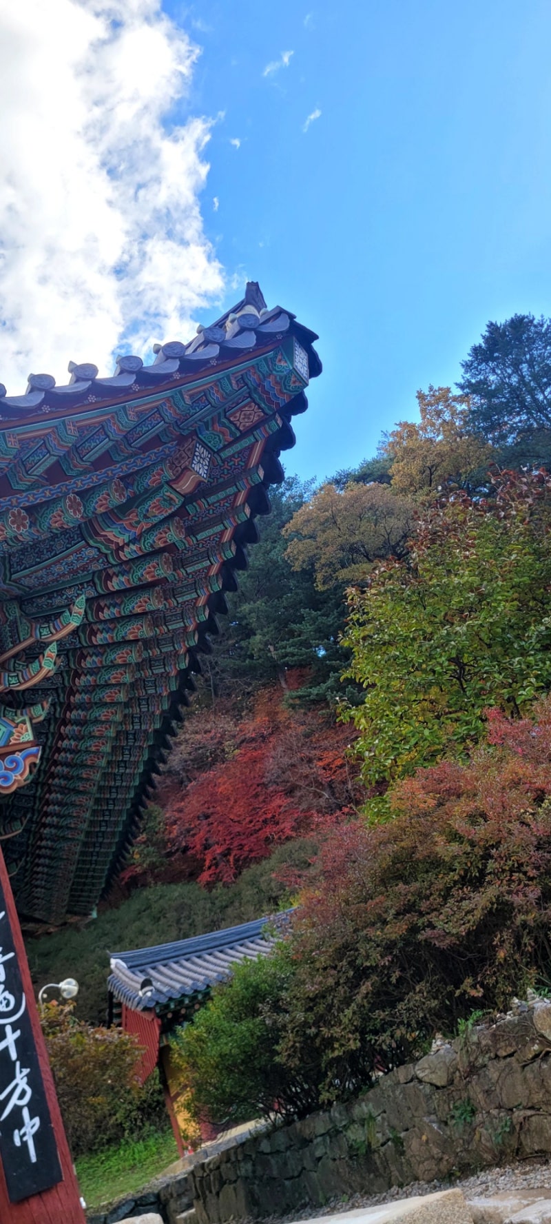 강원도 당일치기 단풍여행 코스 추천 | 수타사 단풍길 · 홍천사과축제 · 소양강댐 유람선 | ....