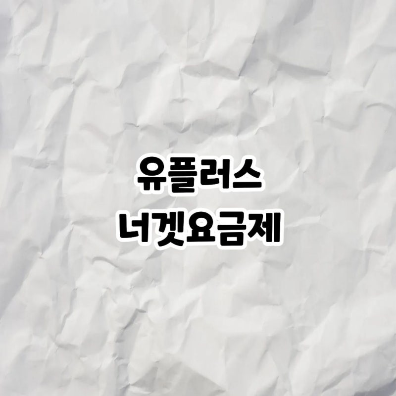 유플러스 너겟 요금제
