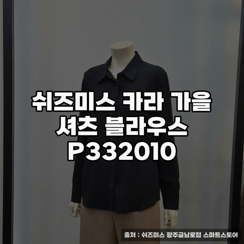쉬즈미스 카라 가을 셔츠 블라우스 P332010 추천