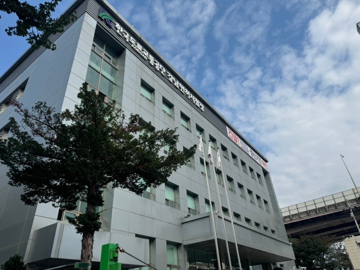  운전면허증 갱신 7년 무사고 1종보통 면허 방문 발급 방법 강남면허시험장 주차 비용 꿀팁 총정리